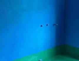 友谊卫生间测漏水多少钱